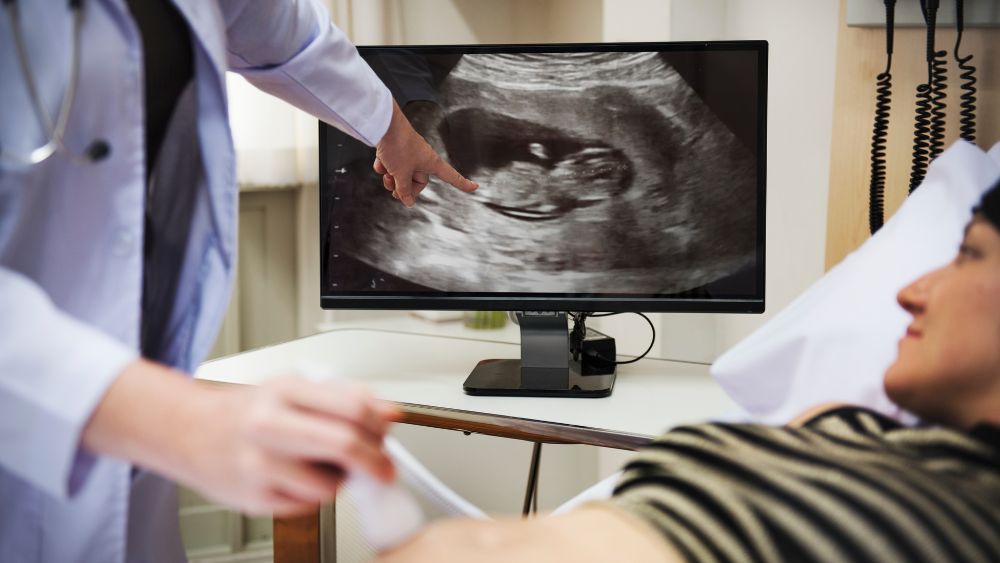 female reproductive ultrasound